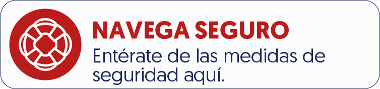 Navega seguro