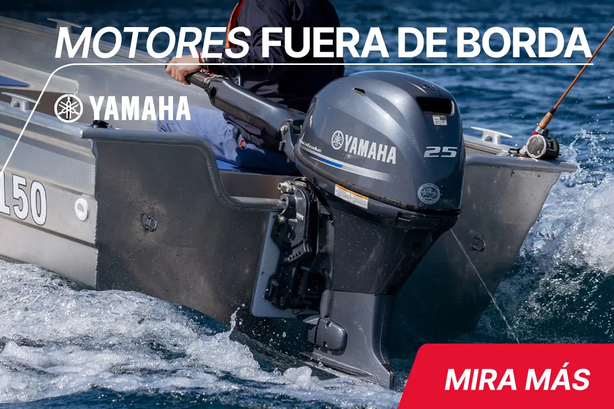 Motores fuera de borda
