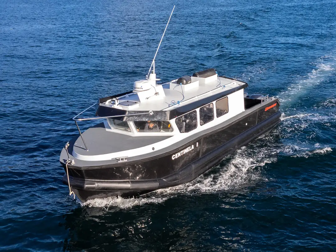 Embarcación HDPE 9.5 m Dimarine con cabina, 9.5 x 3.1 m, capacidad 14 pasajeros y 400HP