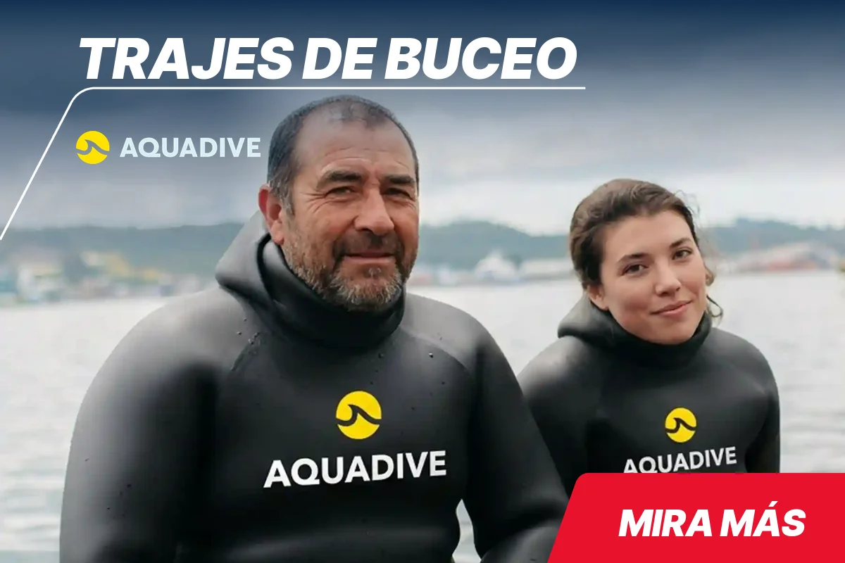 Motores fuera de borda